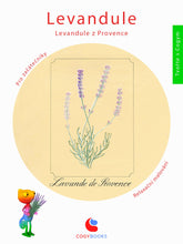 Levandule - Levandule z Provence