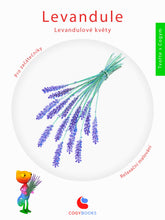 Levandule - Levandulové květy