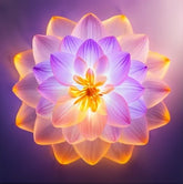 <tc>Le mandala II - Les mandalas en fleurs</tc>