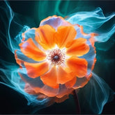 <tc>Le mandala I - Les mandalas d´été</tc>